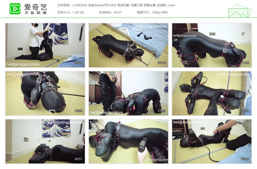 LJYMZ026 全包Zentai爪爪 k9犬 电击训教 马具口球 皮革头套【伪娘】[20231005-110841550].jpg